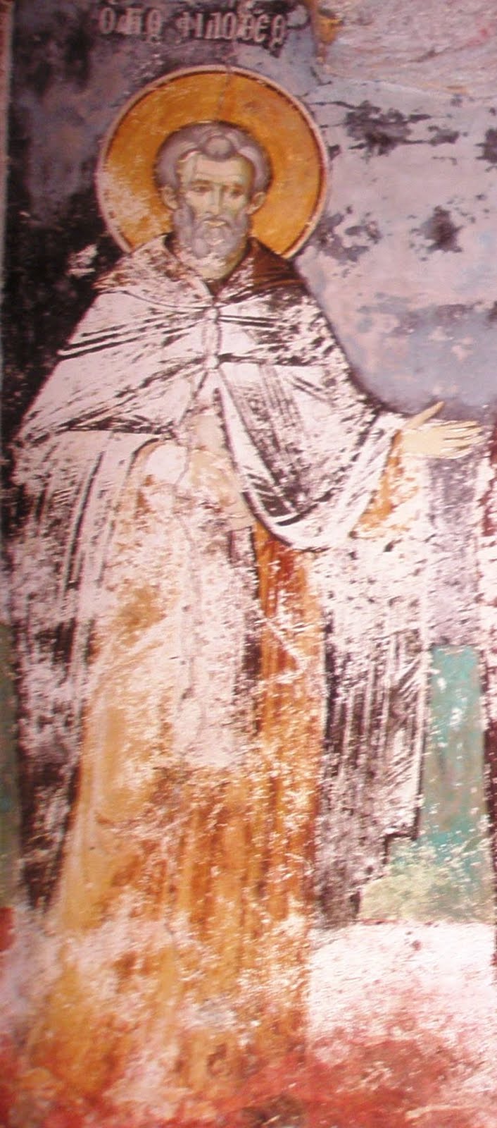 Uploaded Image